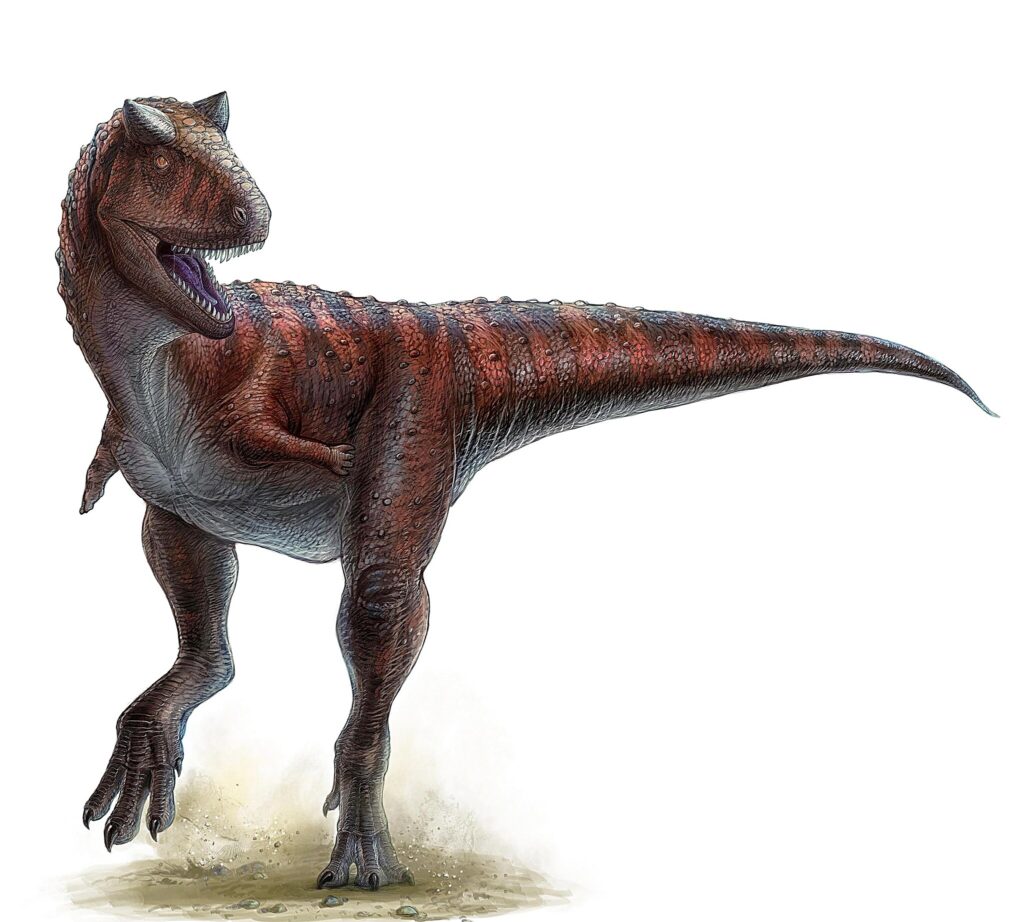 Illustration of a large, fierce-looking dinosaur with reddish scales and small arms on a white background. Its mouth is open, conveying motion and energy.