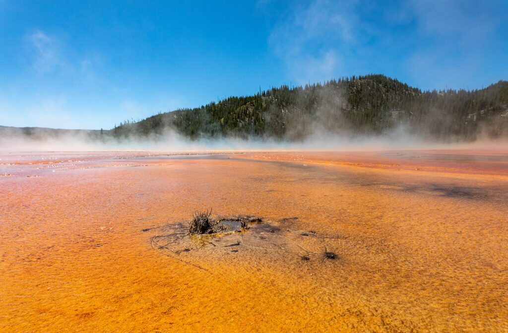 Steaming orange and red hot spring with mist rising, surrounded by lush green forest under a clear blue sky. Vibrant and serene landscape.