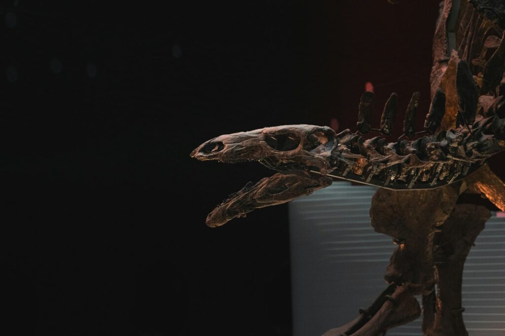 A skeleton of a dinosaur in the dark