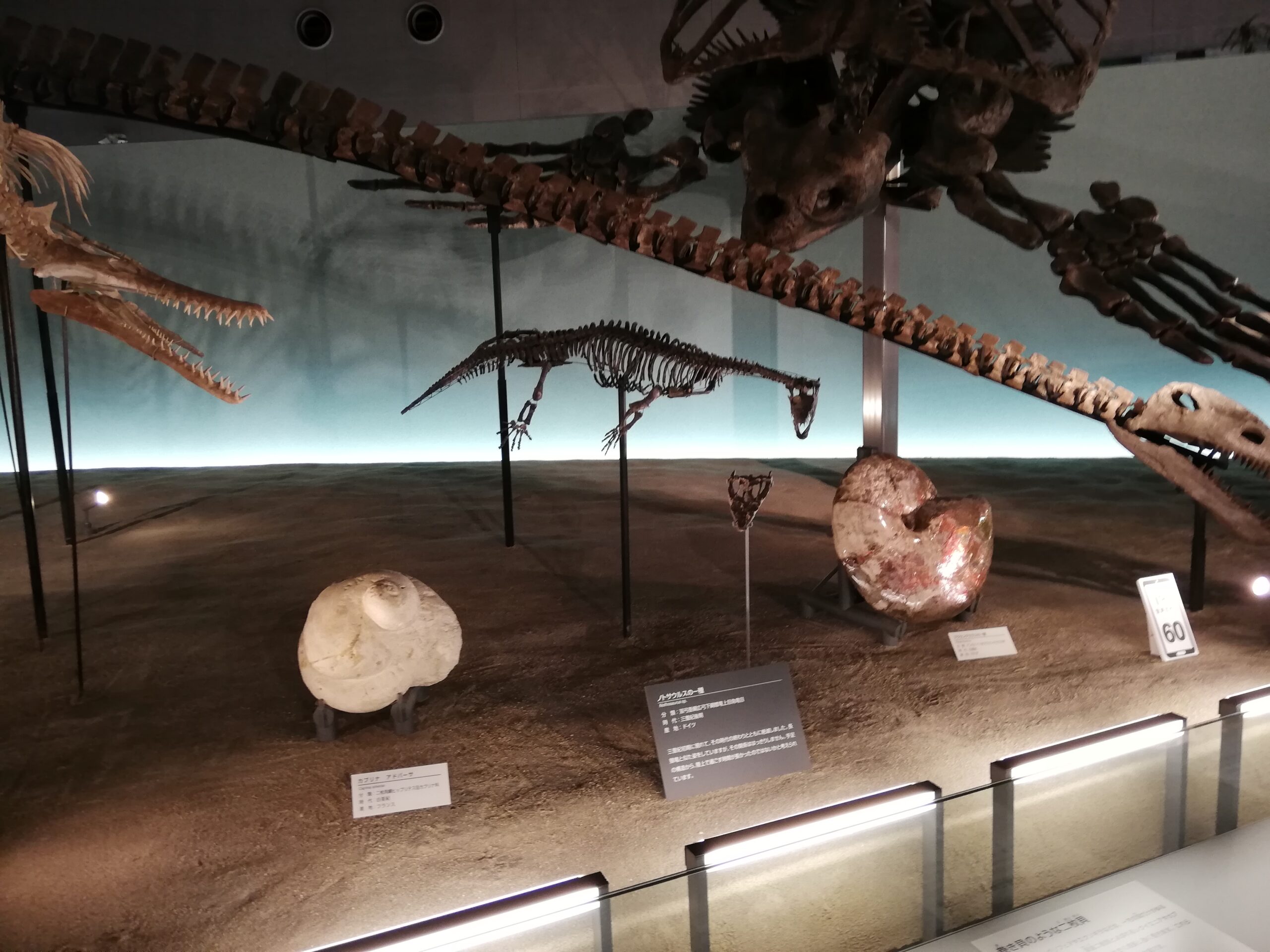 Fukui Prefectural Dinosaur Museum
