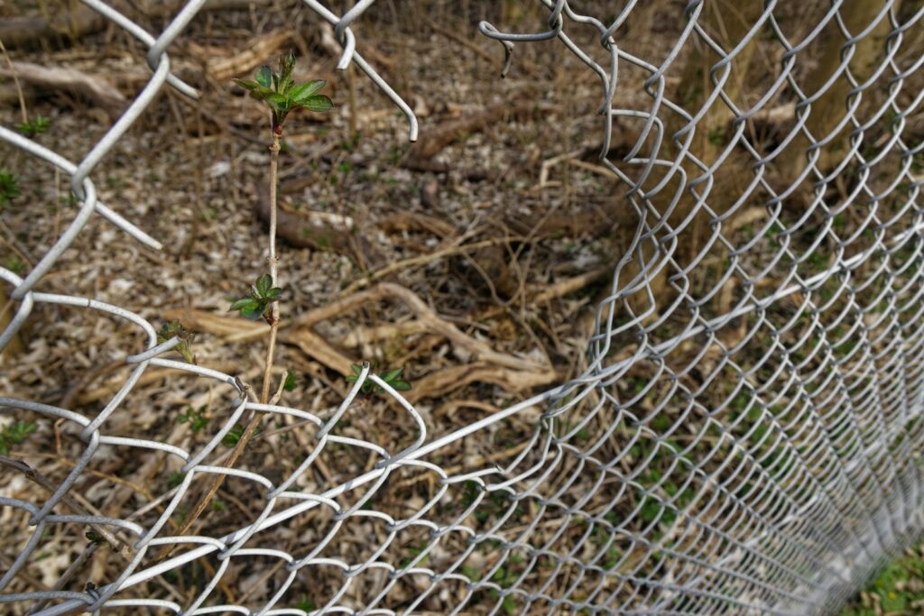 a close up of a chain link fence