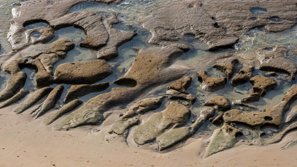 A group of rocks sitting on top of a sandy beach