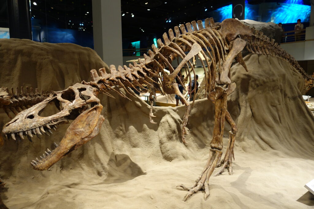 Dinosaur skeleton exhibit in a museum, showcasing large bones and sharp teeth on a sand-colored landscape, under dim, atmospheric lighting.