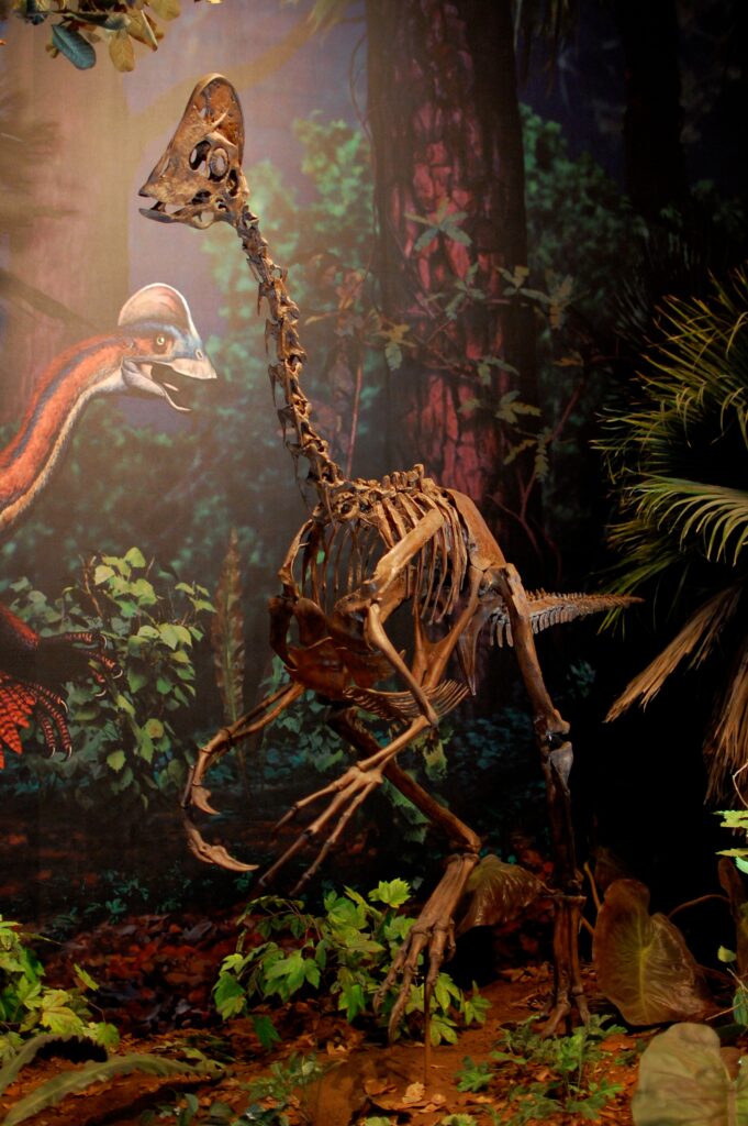 Skeleton of a dinosaur with a long neck and bird-like skull stands in a forest-themed exhibit, with vibrant foliage and painted prehistoric creatures.