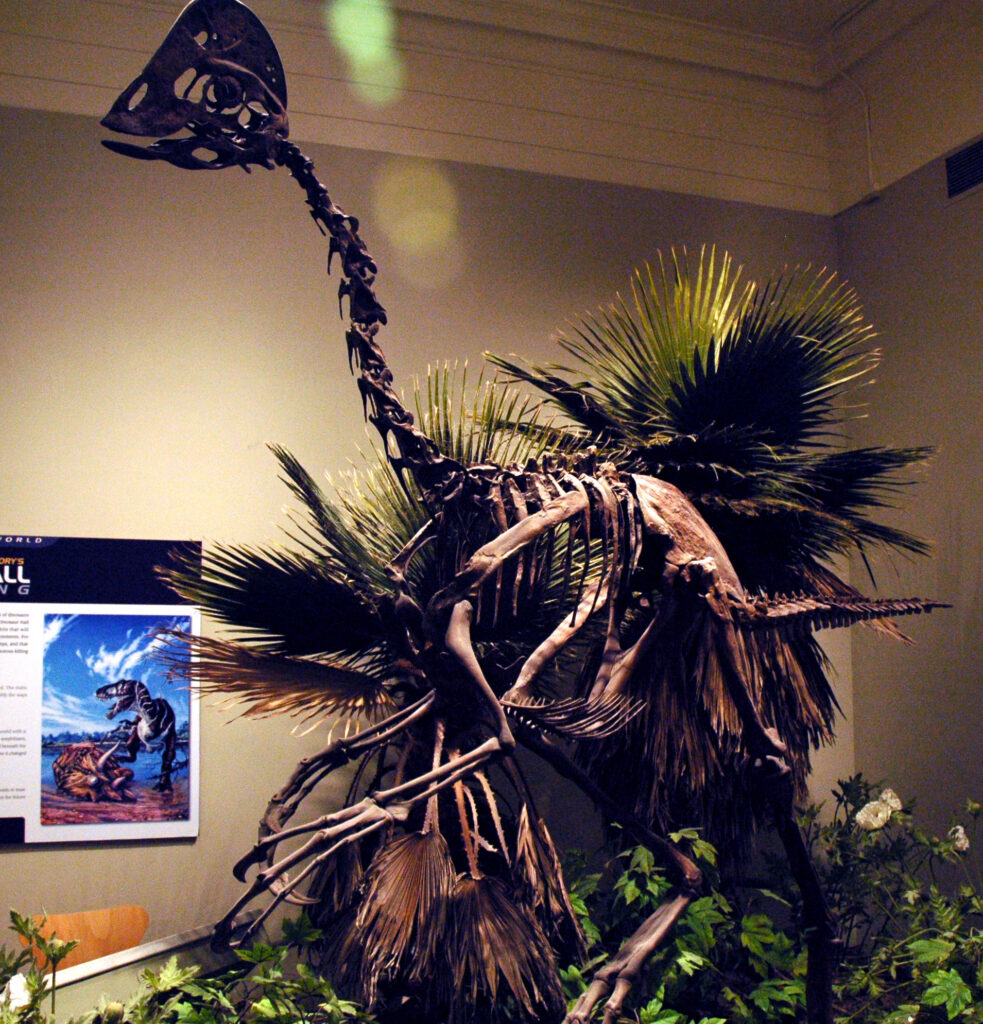 Dinosaur skeleton displayed among lush, green foliage in a museum. Its long neck arches gracefully, creating a striking, lifelike presence.