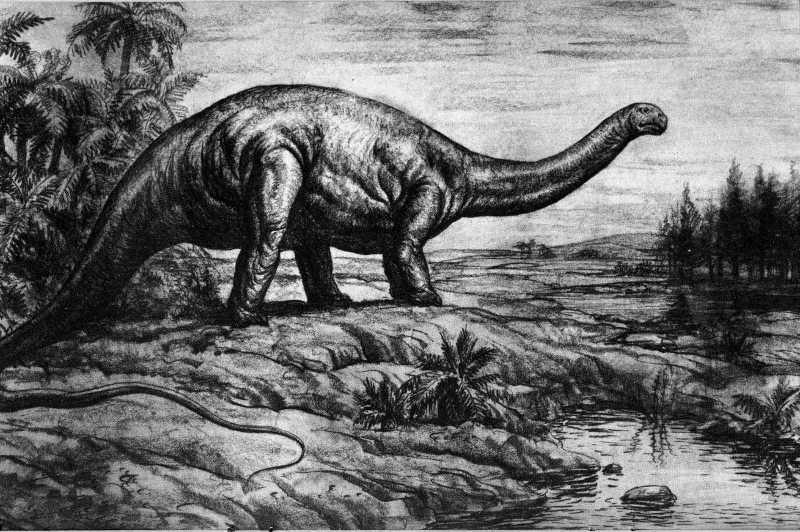 Apatosaurus reconstruction, from US government pamphlet "The Dinosaur Quarry", 1958