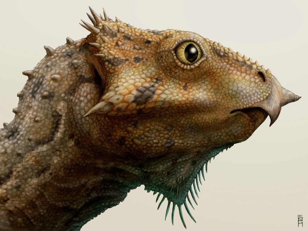 Illustration of a dinosaur with a textured, spiky hide and prominent eye. The creature's head is detailed, showcasing scales and earthy colors.
