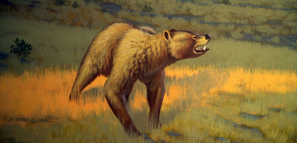 Arctodus The Short-Faced Bear