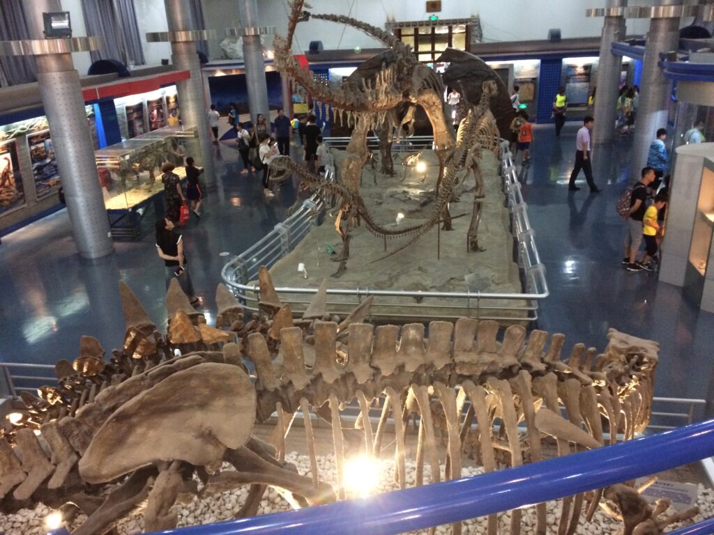 Museum interior showcasing large dinosaur skeletons, surrounded by visitors. The setting is modern and educational, evoking curiosity and awe.