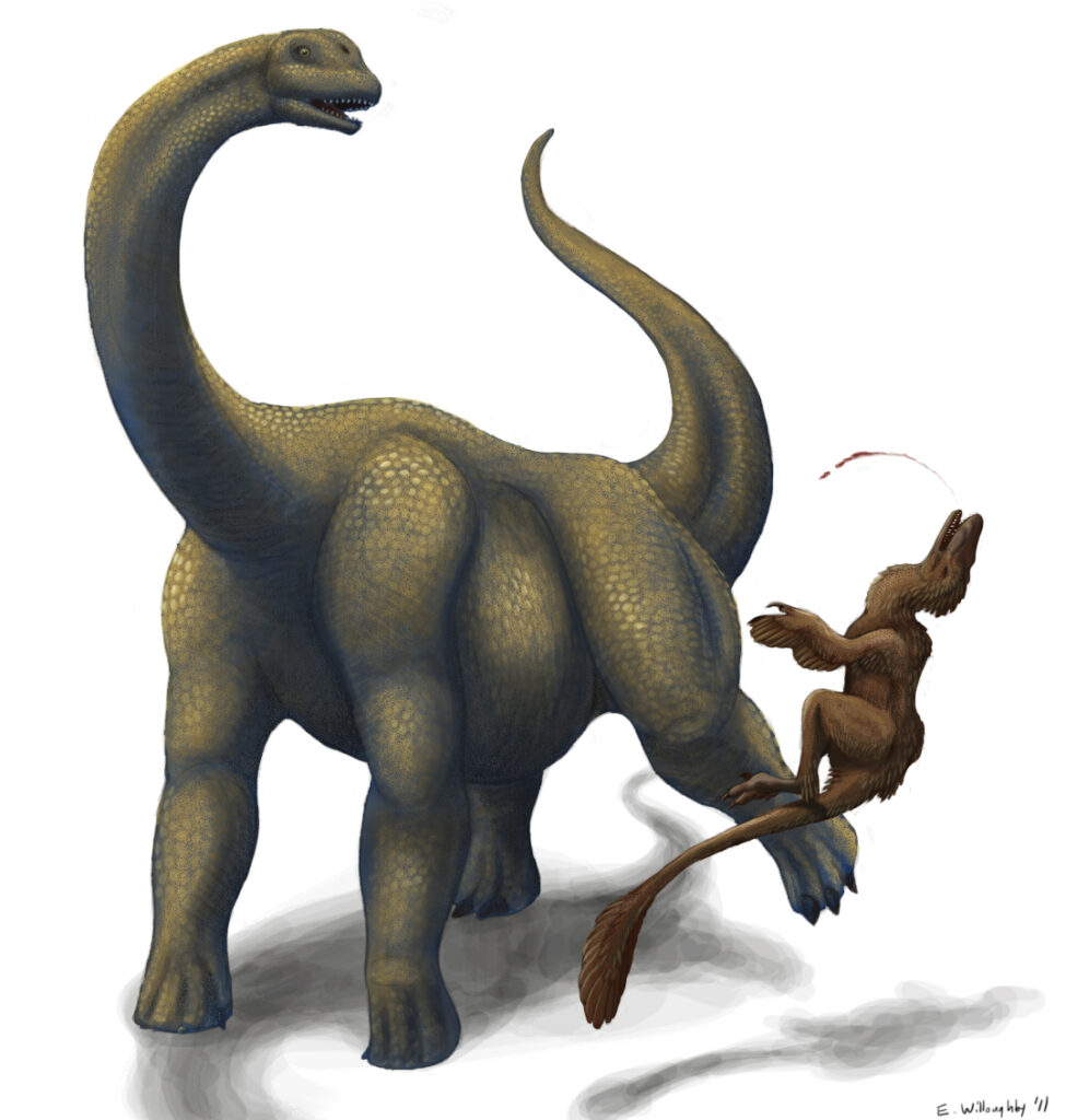 A large dinosaur with a long neck and tail is being chased by a smaller, feathered dinosaur. The scene conveys tension and dynamic movement.