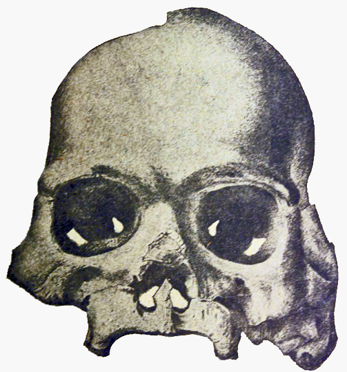 A sketch of an ancient skull with large eye sockets and missing teeth. The texture is rough, creating an eerie, mysterious tone.