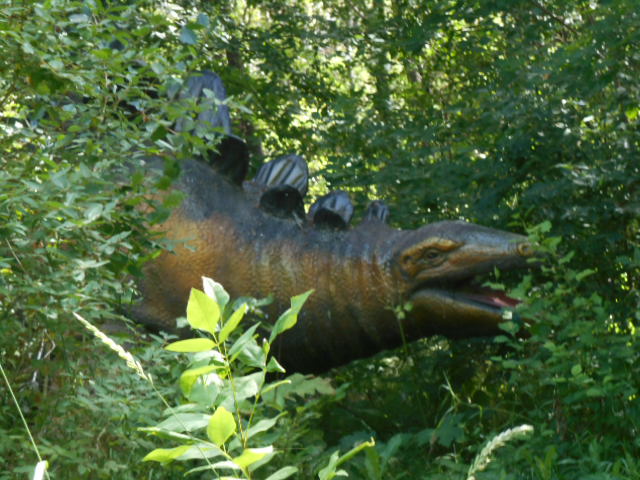 Calgary Zoo Stegosaurus