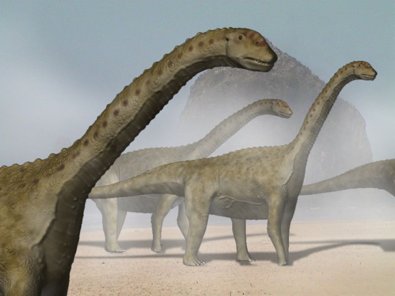 A group of long-necked dinosaurs stands on a foggy, sandy landscape. Their textured skin and towering presence convey ancient majesty and calm.