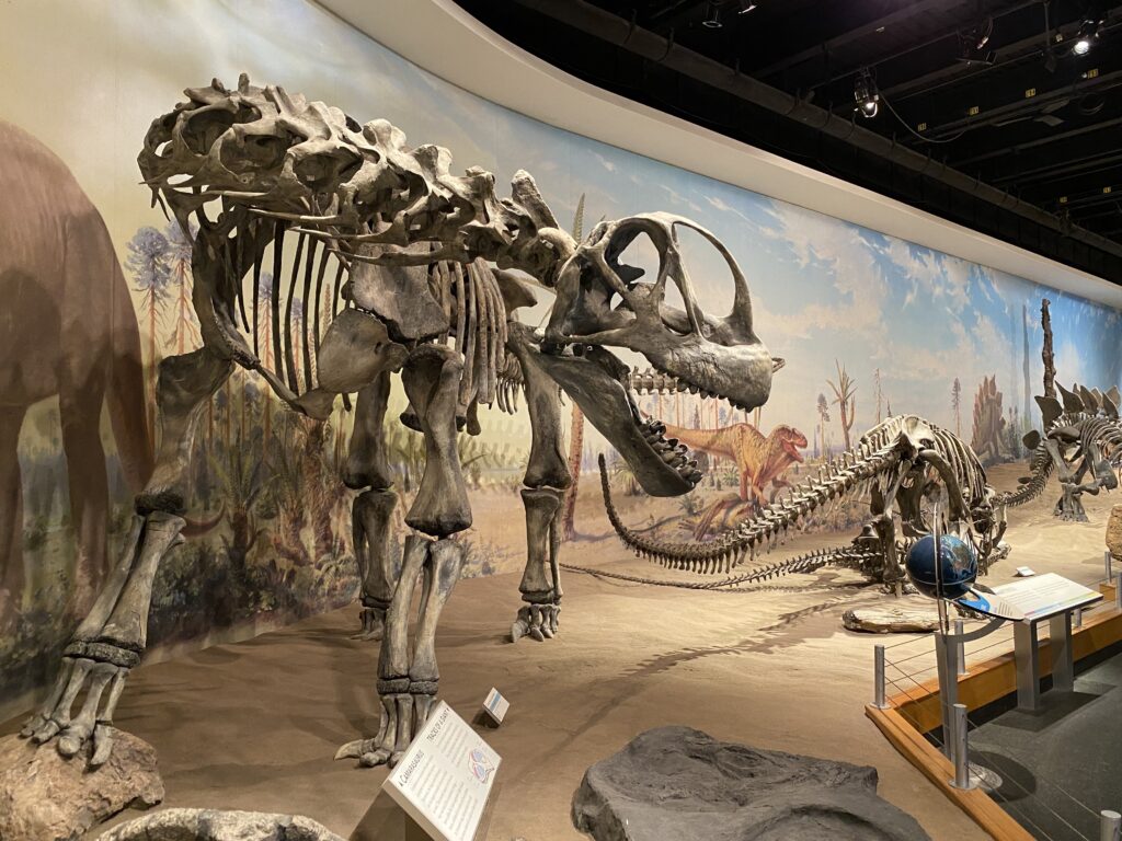 Dinosaur skeleton exhibit in a museum, with large prehistoric skeletal displays against a vivid mural depicting a lush landscape, evoking wonder.