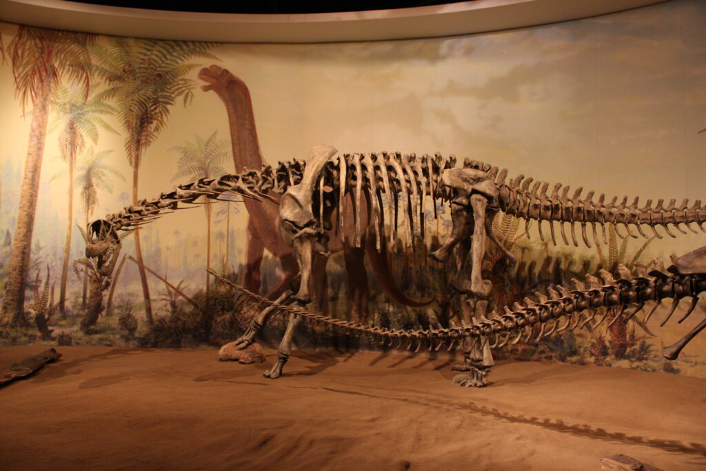 Dinosaur skeleton displayed in a museum, set against a mural of a prehistoric jungle. The atmosphere feels educational and awe-inspiring.