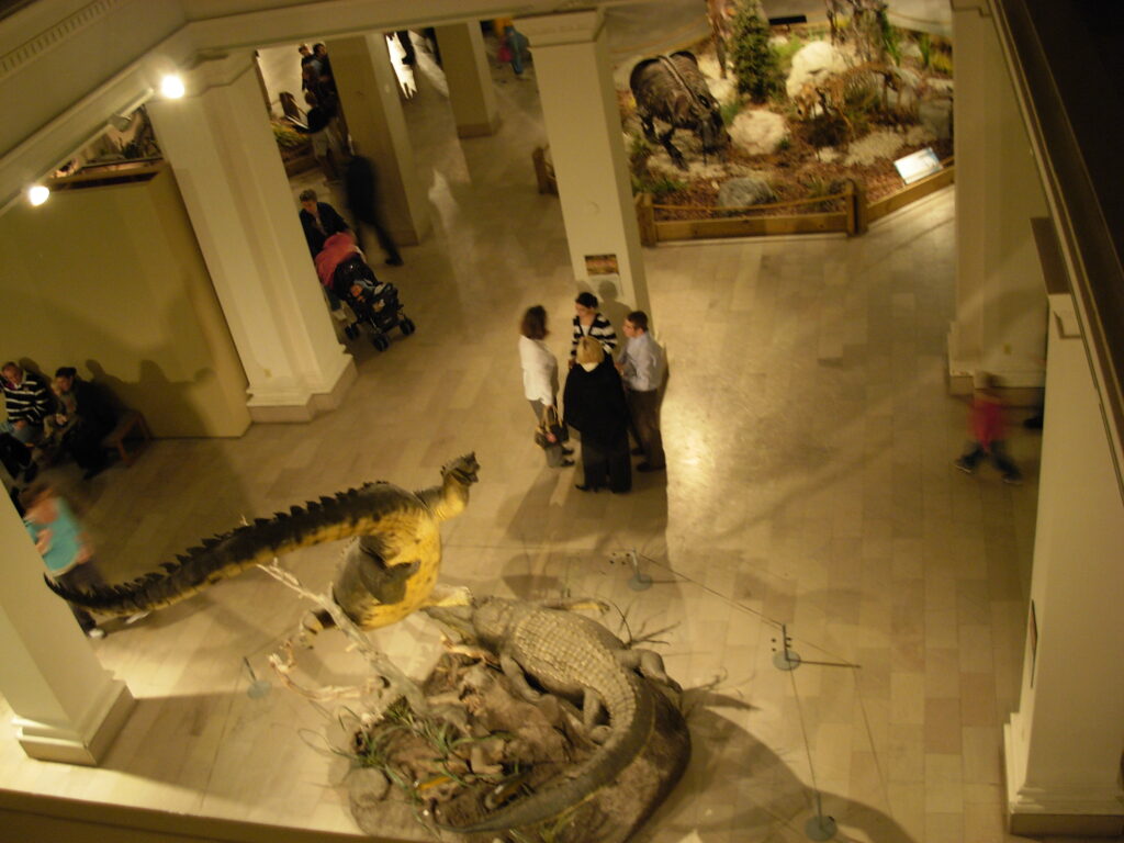 Overhead view of a museum exhibit with dinosaur models on a tiled floor. People, including a person with a stroller, wander and observe the displays.