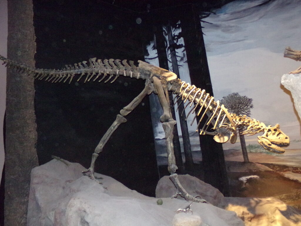 Dinosaur skeleton displayed in a museum, posed in a walking stance on a rocky terrain. The background features a mural of a prehistoric forest.