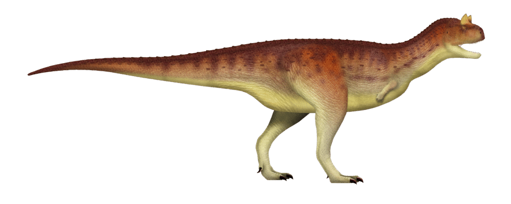 Illustration of a dinosaur with a long tail, red and orange spotted back, and beige underbelly. It has two small front limbs and an open mouth.