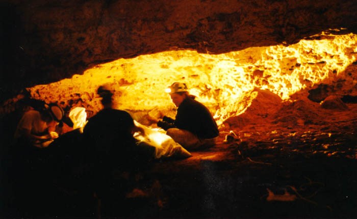 Research team seated inside a dimly lit cave, with a warm golden glow illuminating the rocky walls. The scene evokes a sense of mystery and exploration.