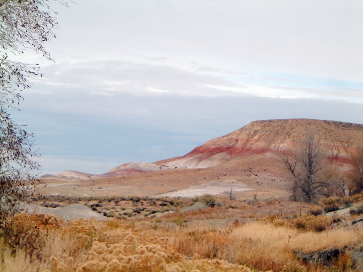 A serene desert landscape features multicolored hills with shades of red and beige under an overcast sky. Sparse vegetation and grasses fill the foreground.