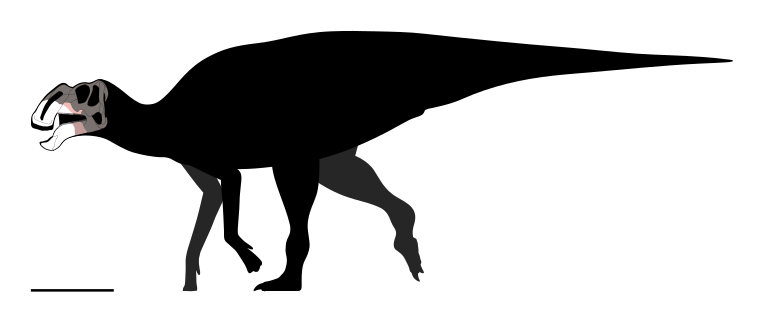 Silhouette of a dinosaur with a duck-bill-shaped mouth and a long tail. It stands on four legs, facing left, with a smooth overall outline.