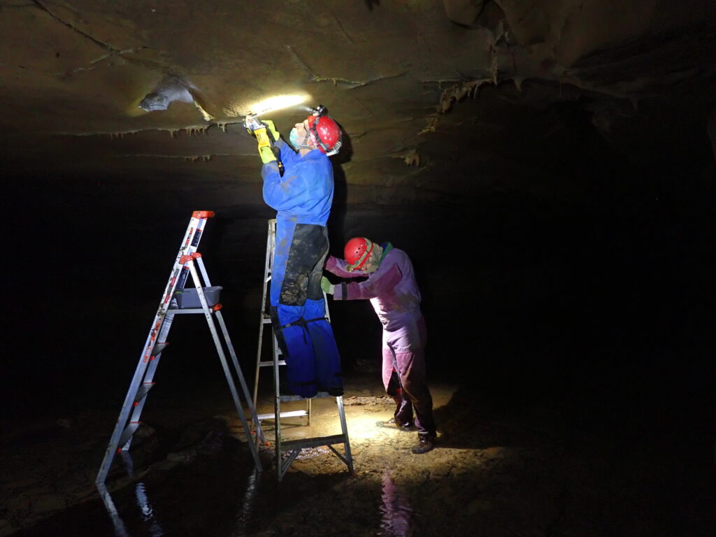Two cavers in protective gear and helmets, using a ladder and bright light to inspect a cave ceiling. The scene is dark and focused.