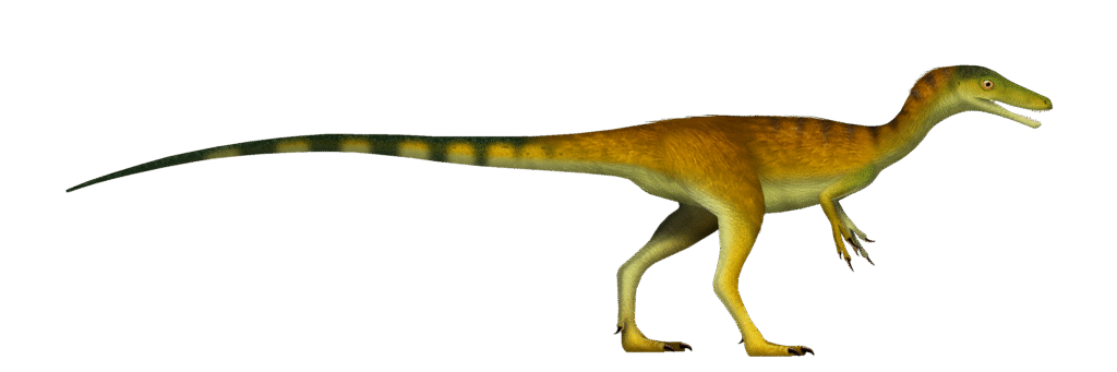 Illustration of a slender dinosaur with a long tail, green and yellow textured skin, small front claws, and an open mouth, conveying alertness.