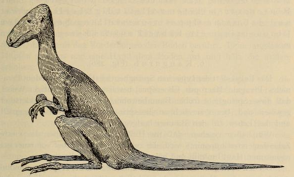 Compsognathus