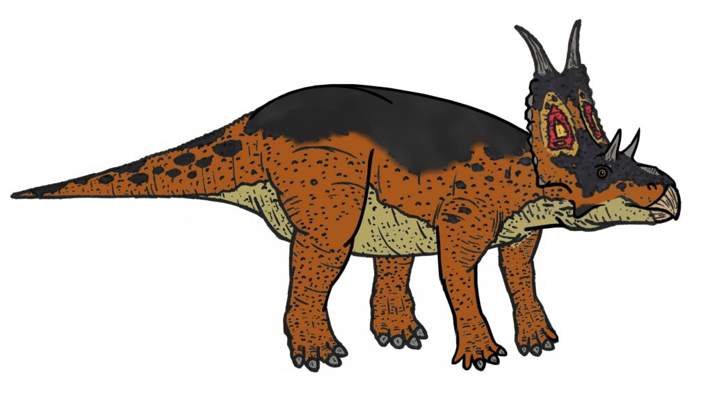 Illustration of an orange, black, and cream dinosaur with a large frilled head and spiky horns, standing confidently against a white background.