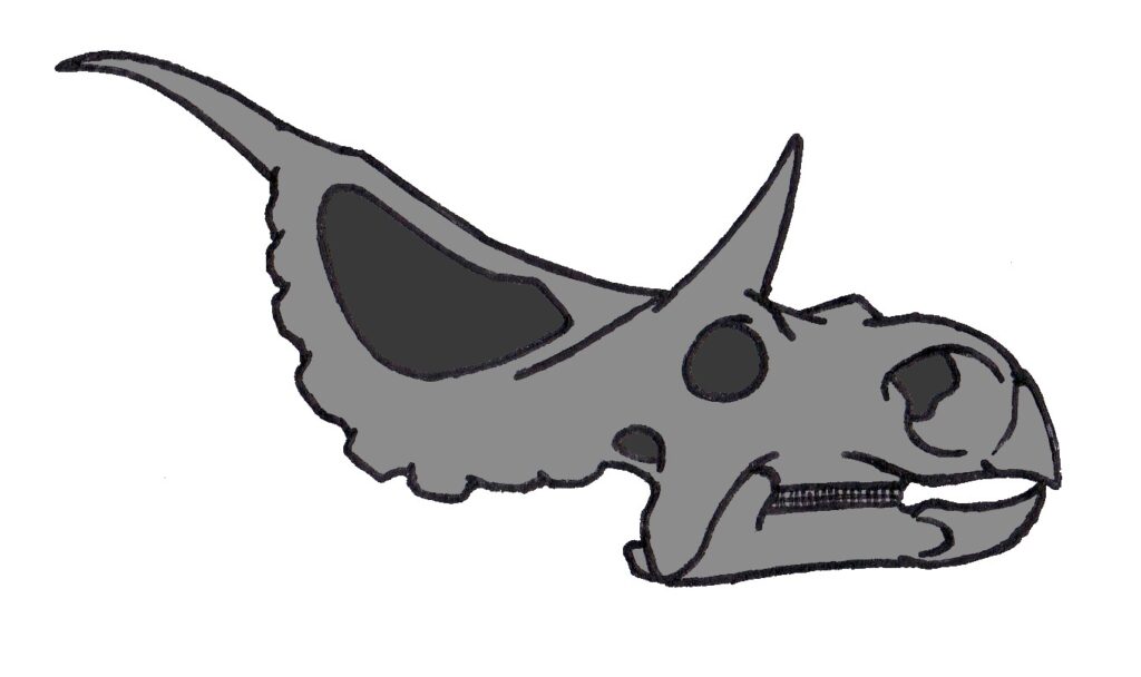 Illustration of a Diabloceratops skull in grayscale with prominent horns and frill. The simplified, bold outline gives it a cartoonish feel.