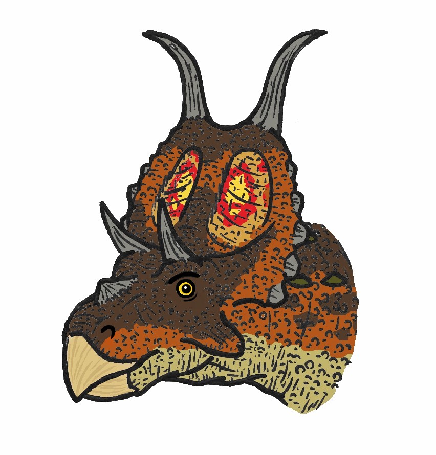 Illustration of a dinosaur with a brown and orange textured face, large horns, vibrant yellow and red frill markings, and a curious expression.