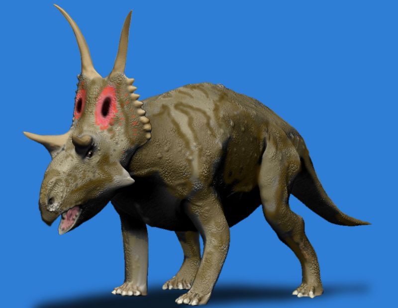 A realistic 3D model of a Diabloceratops on a blue background. It features a brown, textured body, prominent horns, red eye patches, and an open mouth.