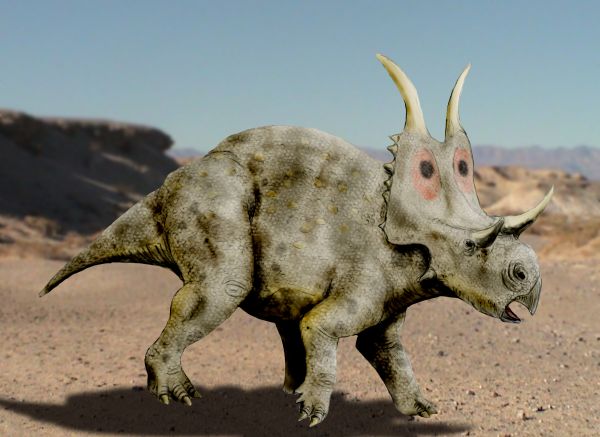 A large, gray, horned dinosaur with a frilled head stands on a rocky desert landscape. The sky is clear, creating a prehistoric atmosphere.
