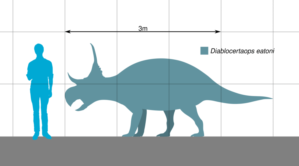 Silhouette comparison of a human and Diabloceratops eatoni. The dinosaur is 3 meters long, showing its size relative to the human figure.