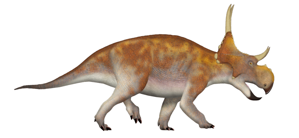 A large, horned dinosaur with a brown and orange textured body, walking on four legs. It has a frilled neck and three prominent facial horns.