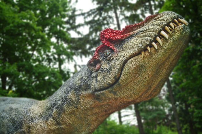 DinoPark Plzeň Allosaurus head