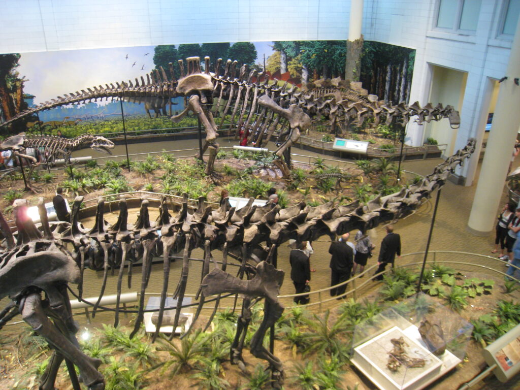 Dinosaur skeletons on display at a museum, surrounded by plants and visitors. The room is spacious, with a mural of a prehistoric landscape.