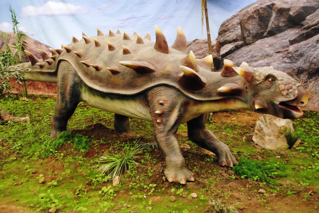 Western Survivors Tell a Different Story