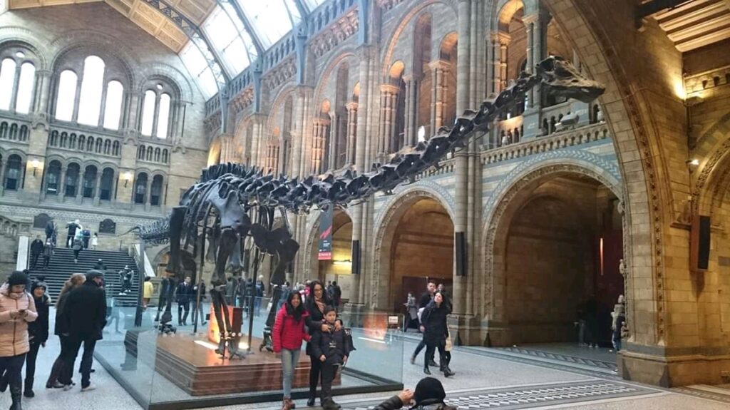 People explore a grand museum hall featuring a large dinosaur skeleton, with high arched windows and ornate stone architecture creating a sense of awe.