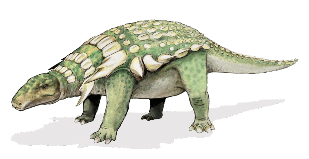 A green and beige ankylosaur with a heavily armored back, adorned with bony plates and spikes, stands confidently, showcasing its defensive features.
