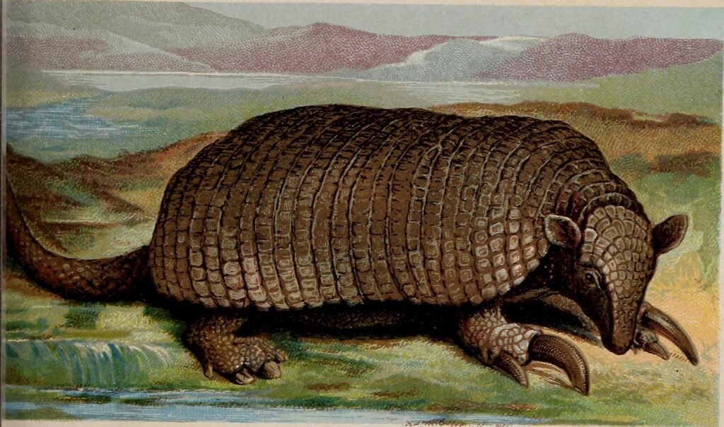 Illustration of a giant armadillo with a textured, armored shell and large claws, set against a scenic backdrop of mountains and grassy plains.
