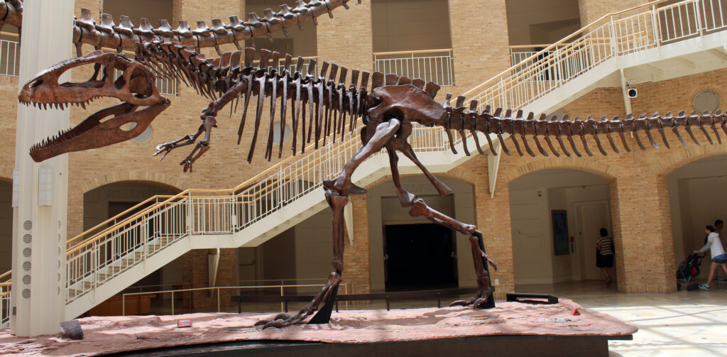 Fernbank