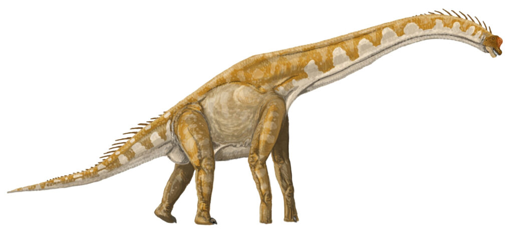 Illustration of a long-necked, orange and cream-colored dinosaur with a spiked back, standing on four legs, conveying a sense of ancient majesty.