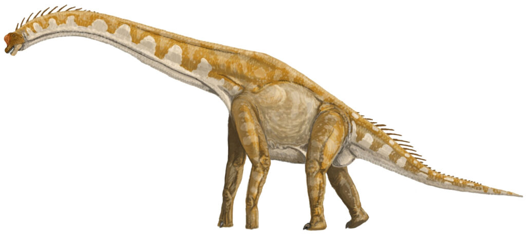 Illustration of a long-necked dinosaur with a patterned orange and beige body, featuring a spiked back and a small head, conveying a prehistoric setting.