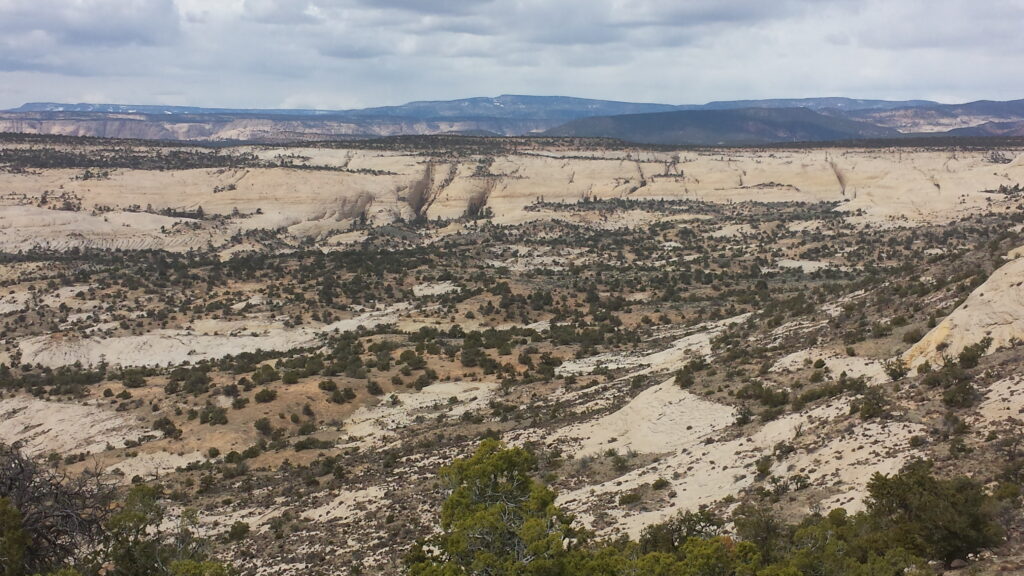 Expansive desert landscape with rugged, light-colored rock formations and scattered shrubs under a cloudy sky, conveying a sense of solitude.