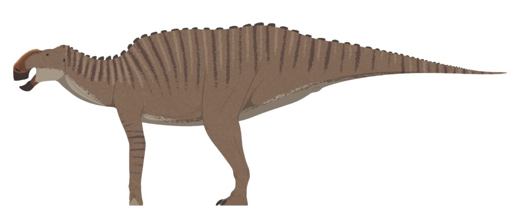Illustration of a brown, striped dinosaur with a duck-billed snout and spiky back ridge, standing on four legs. The tone is prehistoric and educational.