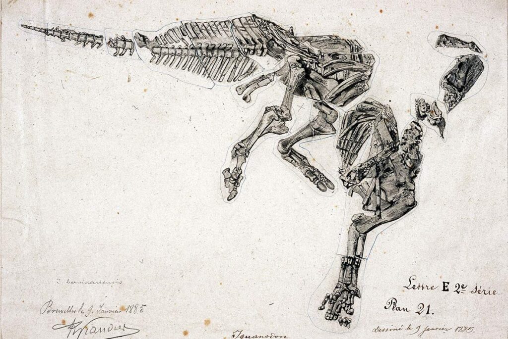 Illustration of a dinosaur skeleton, likely Iguanodon, displayed on aged paper. Bone structures intricately detailed, evoking scientific curiosity.