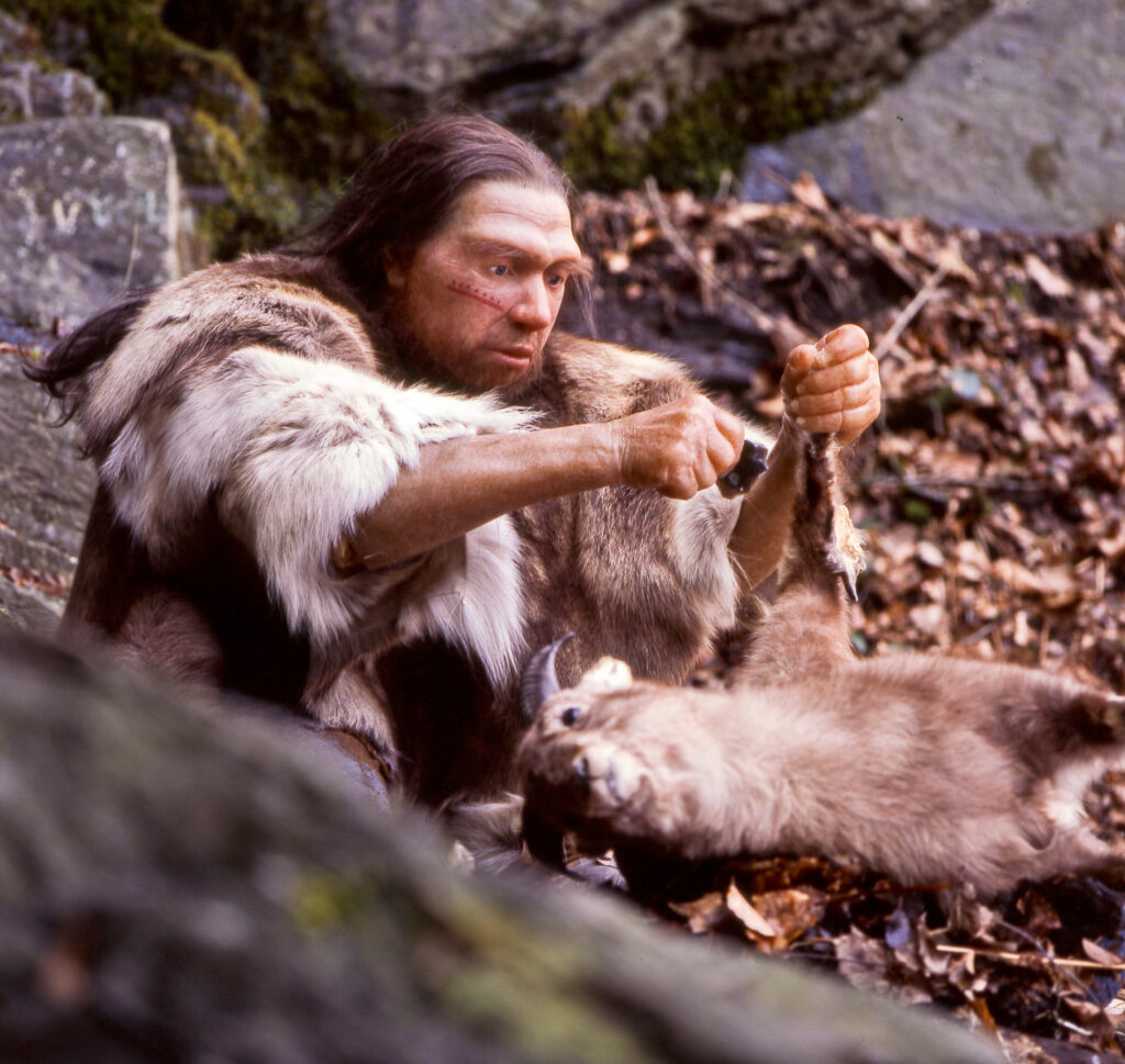 A person dressed in animal furs sits in a forest, focused on skinning an animal. The scene conveys a prehistoric setting with earthy tones and concentration.