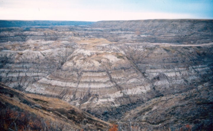 Horseshoe Canyon Alberta