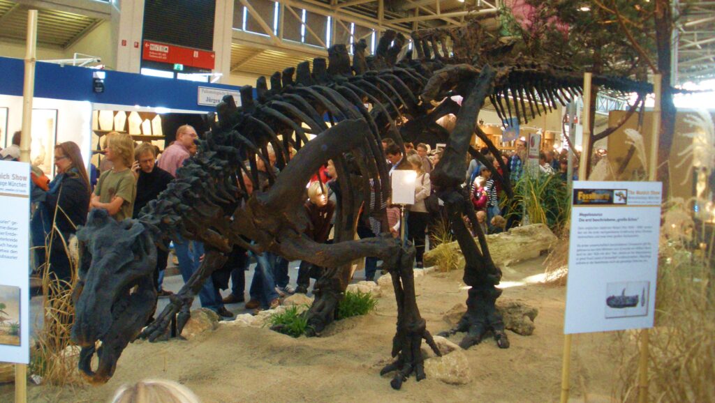 Dinosaur skeleton exhibit with onlookers at a museum. The fossil is displayed on a sandy surface, surrounded by plants. The atmosphere is educational and curious.